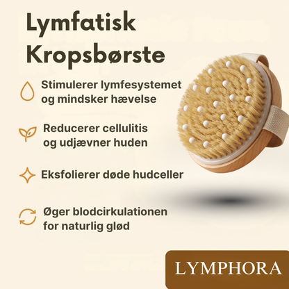 Lymfatisk Kropsbørste